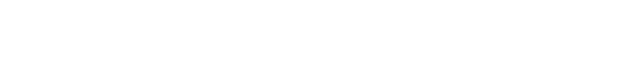 Gobierno de la Ciudad de Puebla